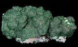 Sparkling Botryoidal Malachite Crystals - Congo #44794-1